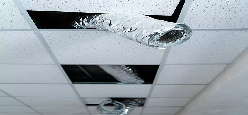 Our Air Duct Pet Hair Removal Services in Russellville, AR