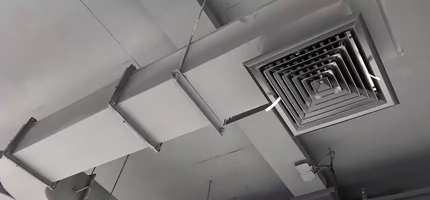 Restorative Allergy Relief Vent Cleaning – Coil, Blower & Housing Detail in Russellville