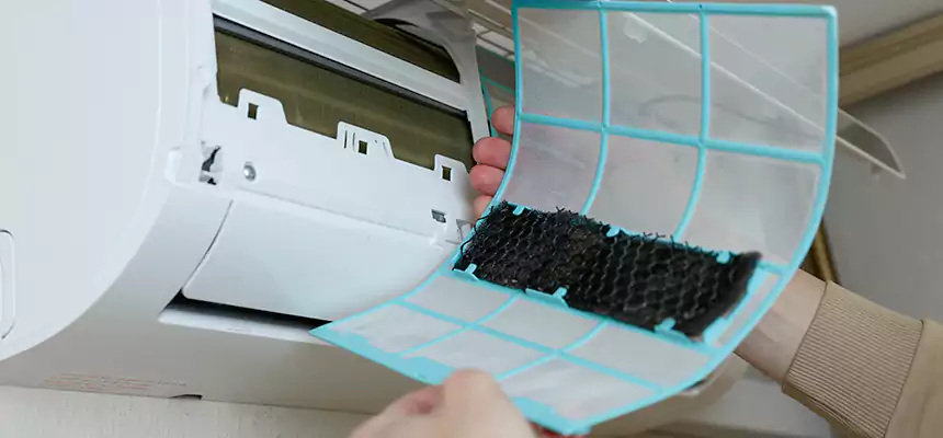 Gentle Ductwork Odor-Control Pet Dander Duct Cleaning in Russellville, AR