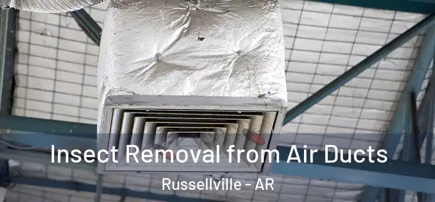 Insect Removal from Air Ducts Russellville - AR
