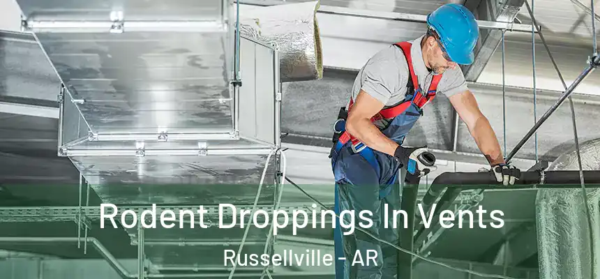 Rodent Droppings In Vents Russellville - AR